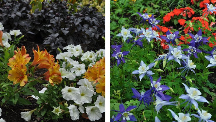 Creating Color Combinations