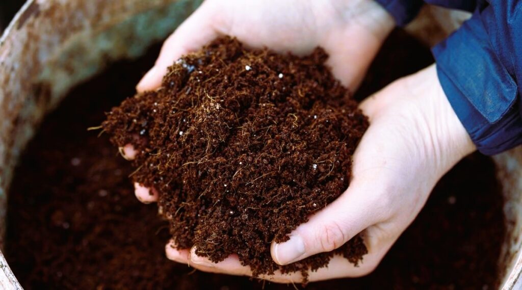 Best Organic Fertilizers