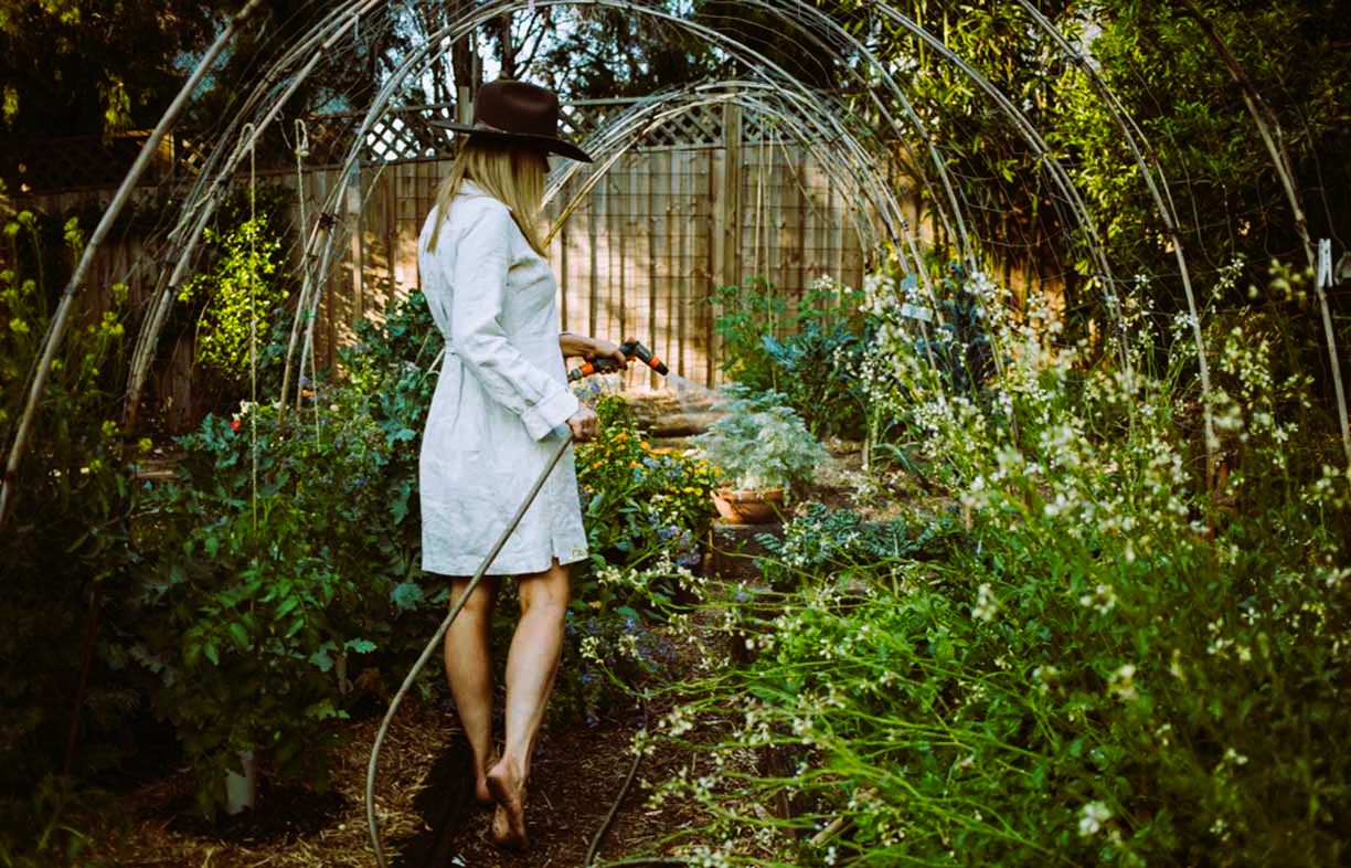 Garden as Therapy