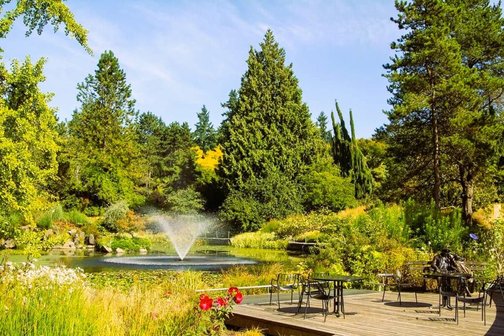 Reverence for Nature