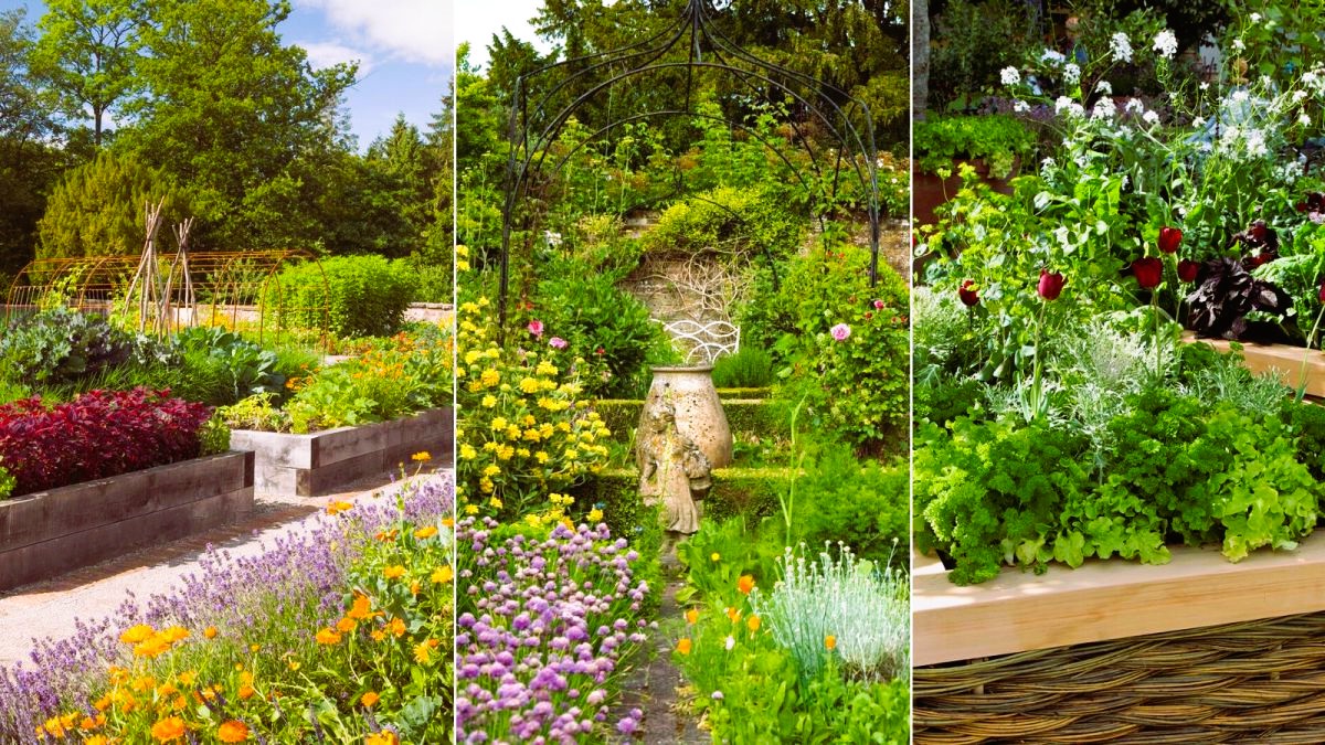 Planning a kitchen garden