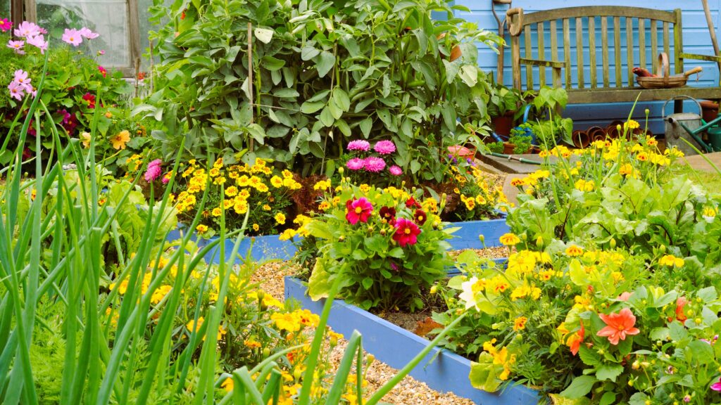  design garden for vegetables and flowers 