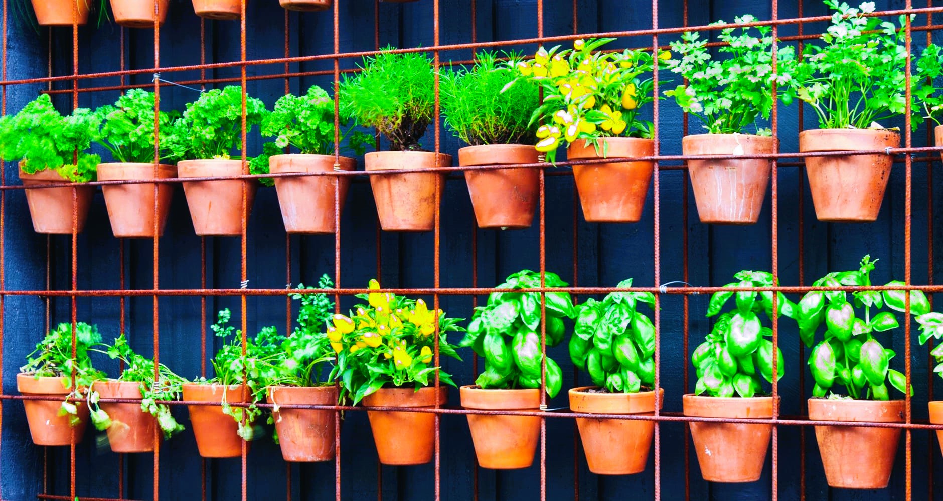 Vertical Small Space Garden