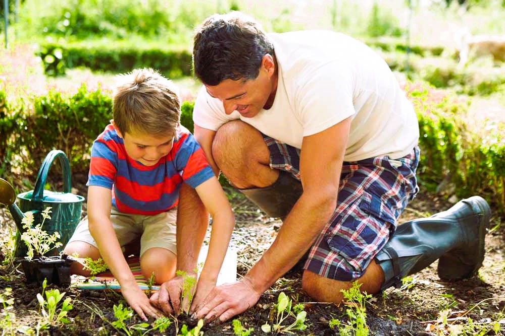 father and son planting seedlings
