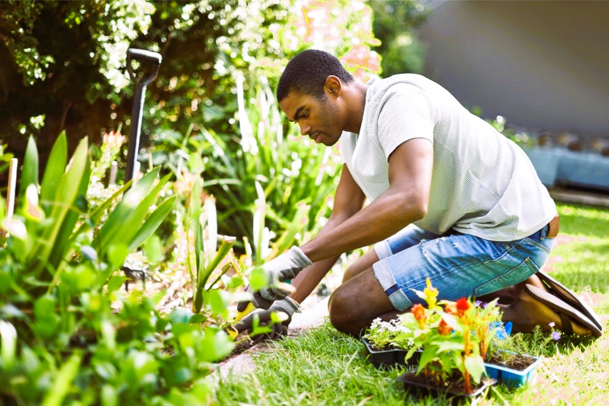 flower bed ideas