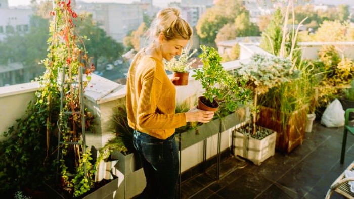 Garden on Balcony