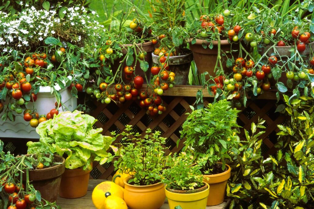 small space gardening